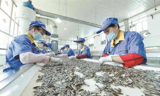 新疆兵团 完善政策体系 赋能食品经营 谱写乡村振兴新篇章